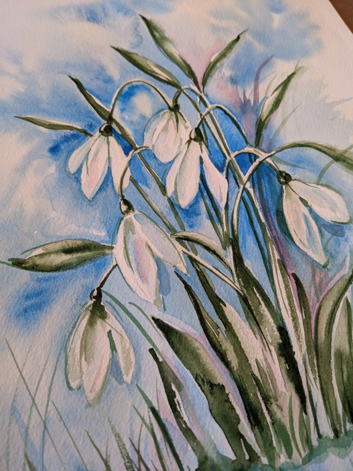 Snowdrops time! Spring is here!